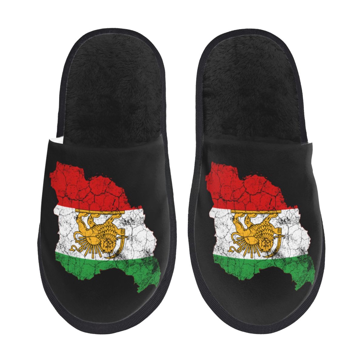 Insole Memory Foam - Maßgefertigte Iran-Flaggen-Karte mit Löwen- und Sonnenemblem